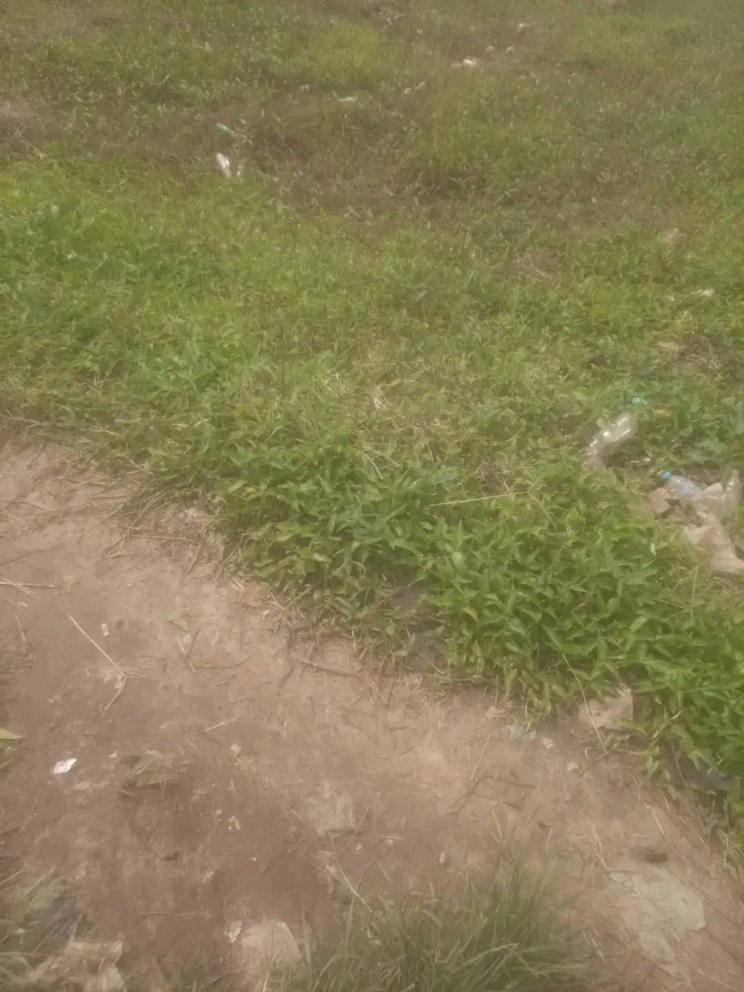 1 LOT OF LAND FOR SALE IN ELWA REHAB COMMUNITY