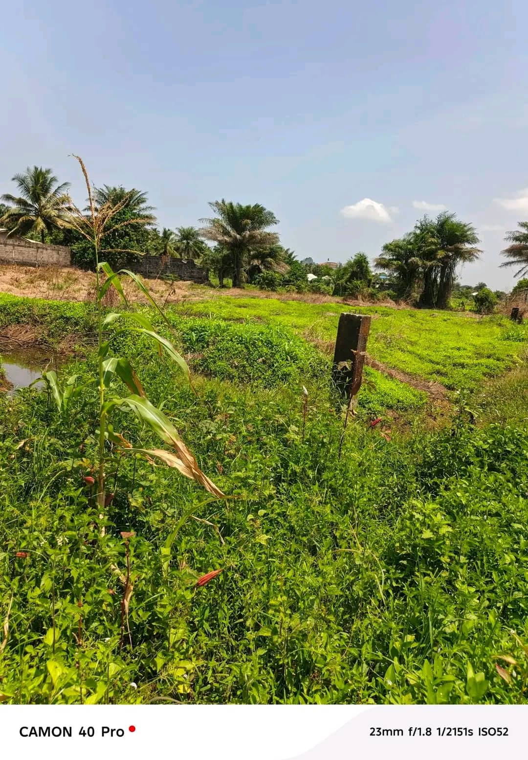 1 LOT OF LAND FOR SALE IN ELWA REHAB COMMUNITY