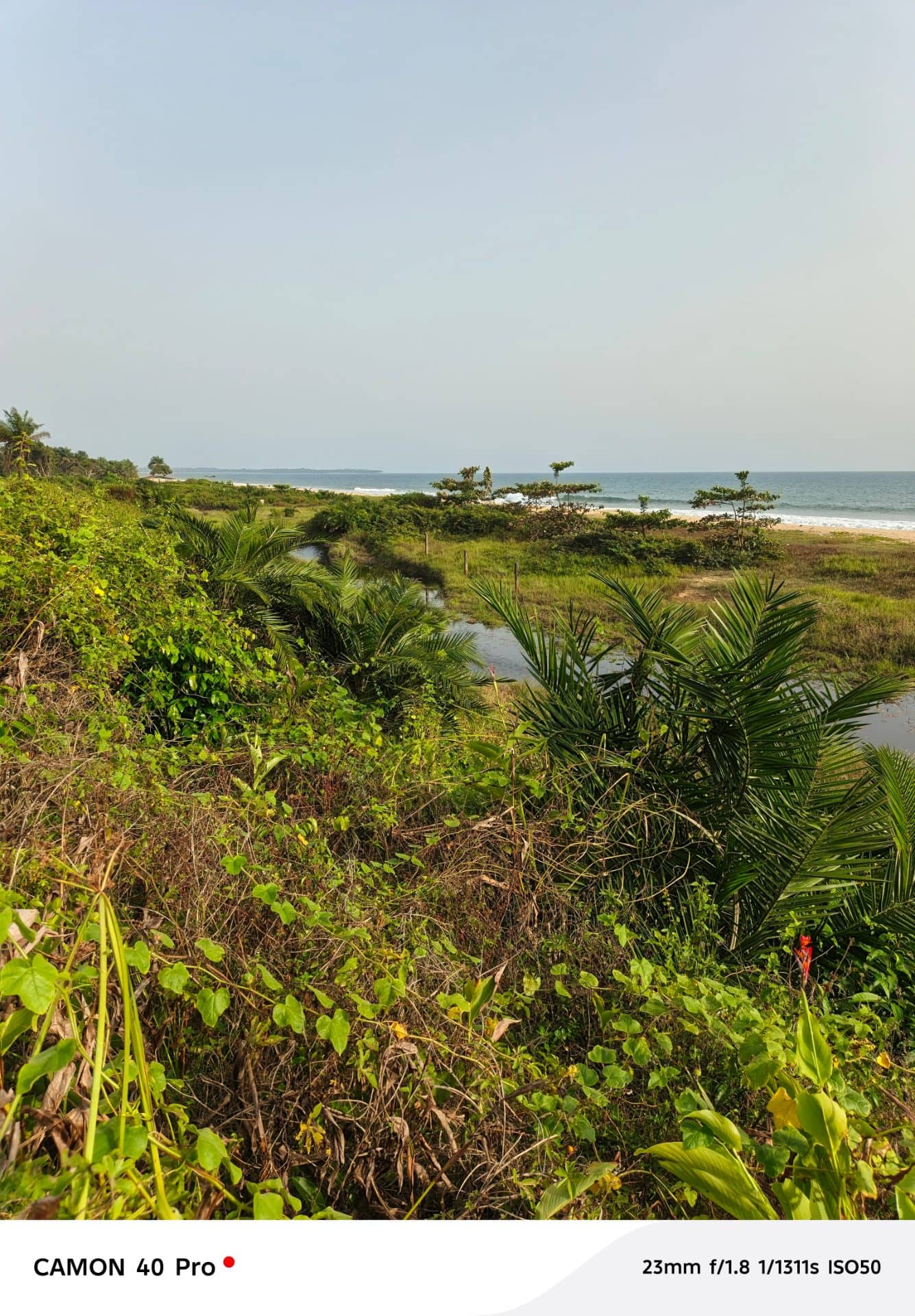 1 ACRE OF BEAUTIFUL BEACH 🏖️⛱️🏖️ LAND FOR SALE. MARSHALL ROAD BEHIND MADAM CLAR WEAH FOUNDATION
