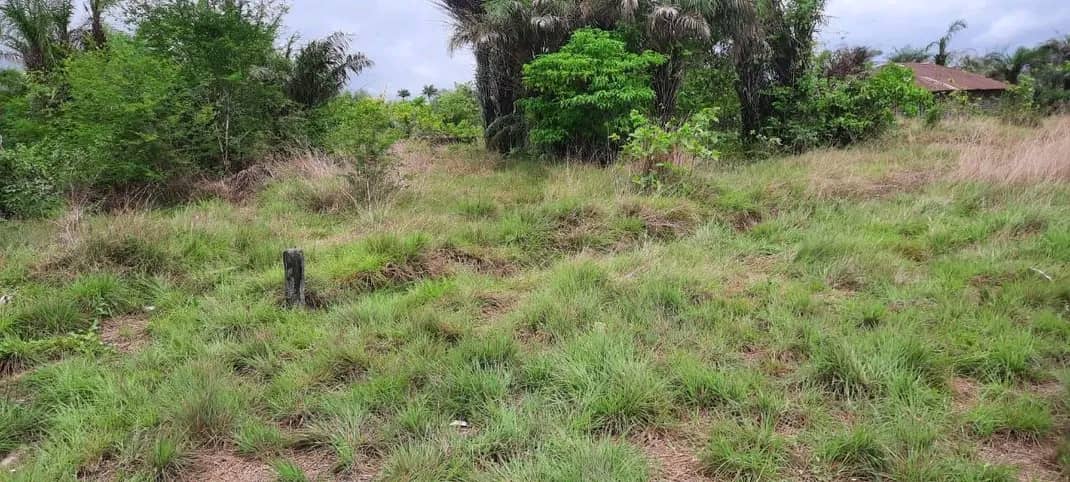 1.5 lots with 3bedrooms foundation for sale