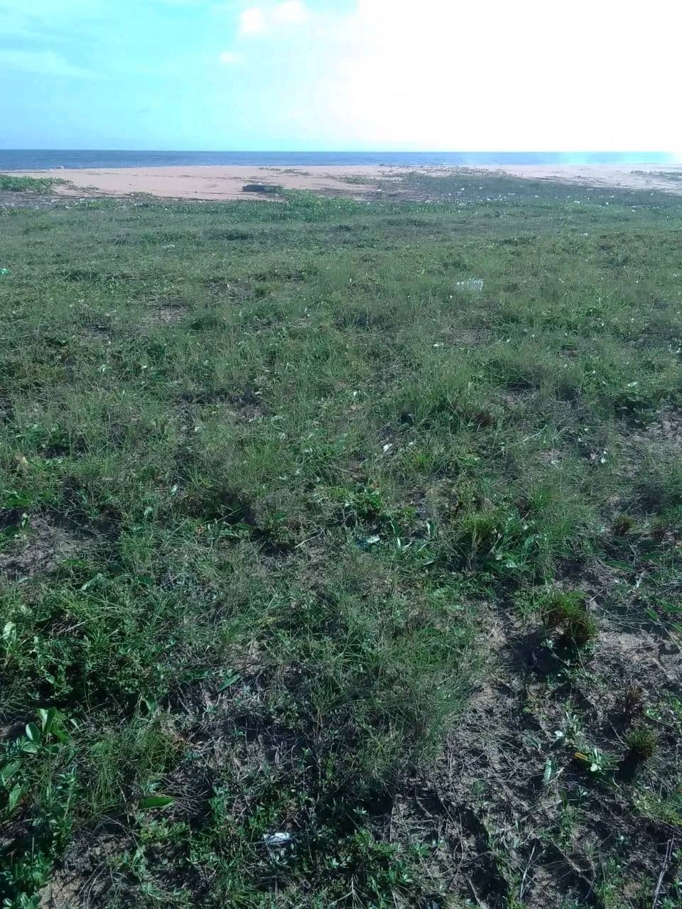 Problem free beautiful beach property for sale