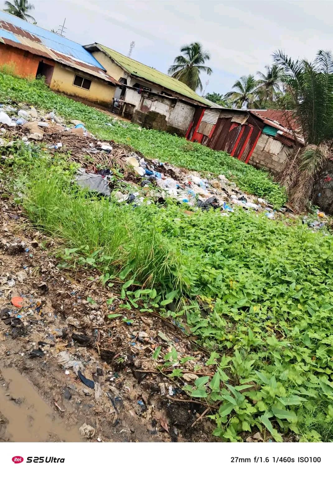 Half lot for sale around elbc