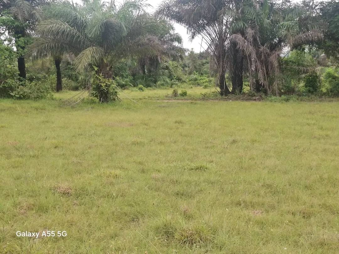 Over 60 acres of land for sale