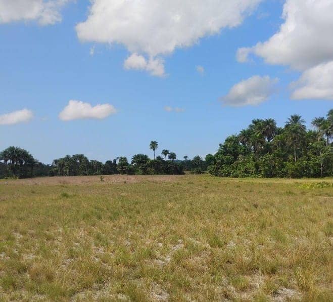 1 Acre of land for sale