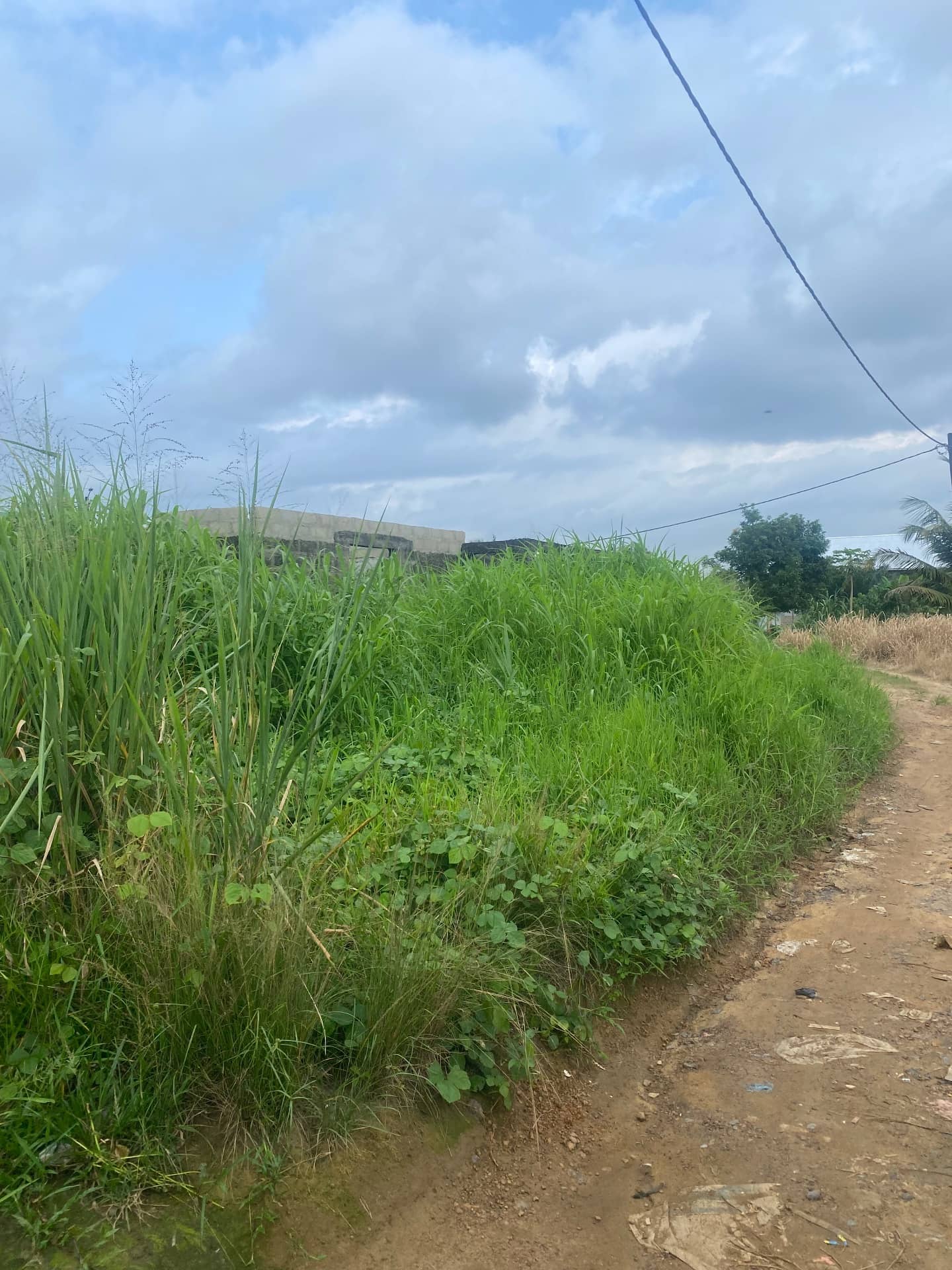 2 LOT OF LAND FOR SALE JOHNSONVILLE